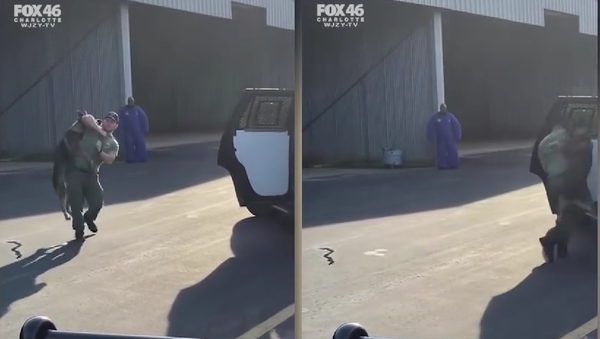 RAW VIDEO: Salisbury Police address K-9 policy after questionable video surfaces - Sputnik International