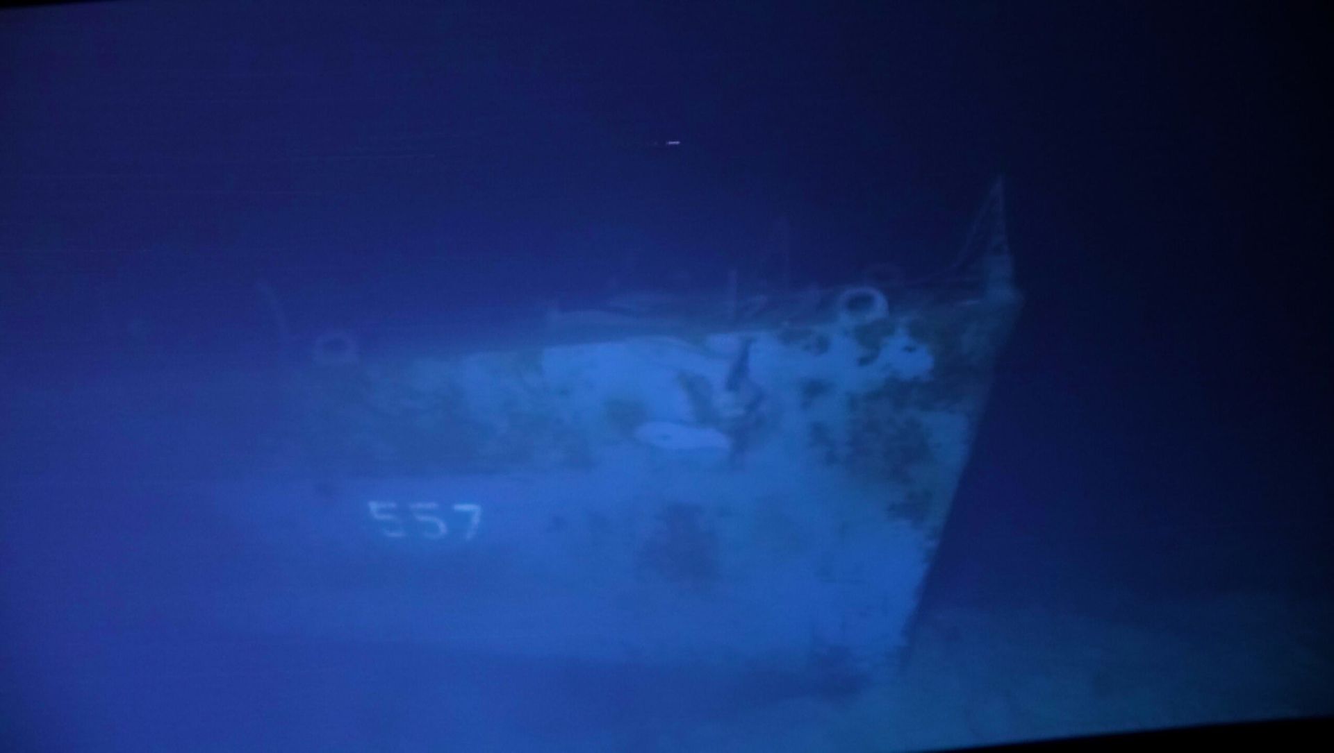 The wreck of the USS Johnston, some four miles (6.5 km) below the surface of the Leyte Gulf in the Philippines The wreck of the USS Johnston, some four miles (6.5 km) below the surface of the Leyte Gulf in the Philippines - Sputnik International, 1920, 03.04.2021