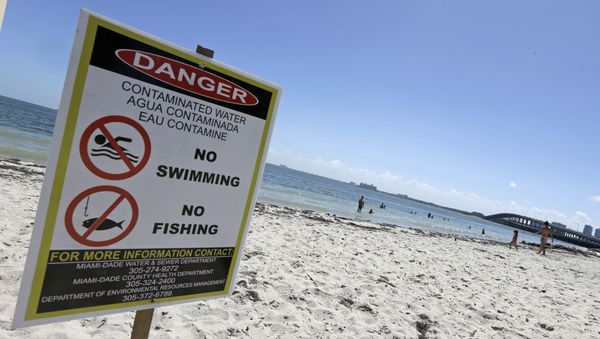 Beachgoers enjoy a day at the beach despite a swimming advisory at Hobie Beach in Miami, Wednesday, July 6, 2016.  - Sputnik International