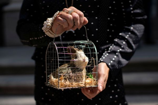 2021 NYC Easter Bonnet Parade - Sputnik International