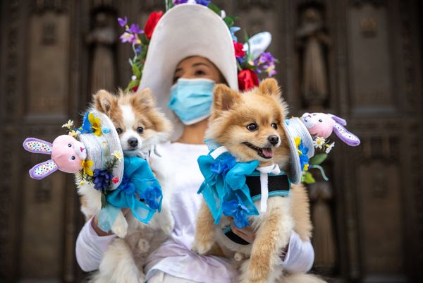 2021 NYC Easter Bonnet Parade - Sputnik International