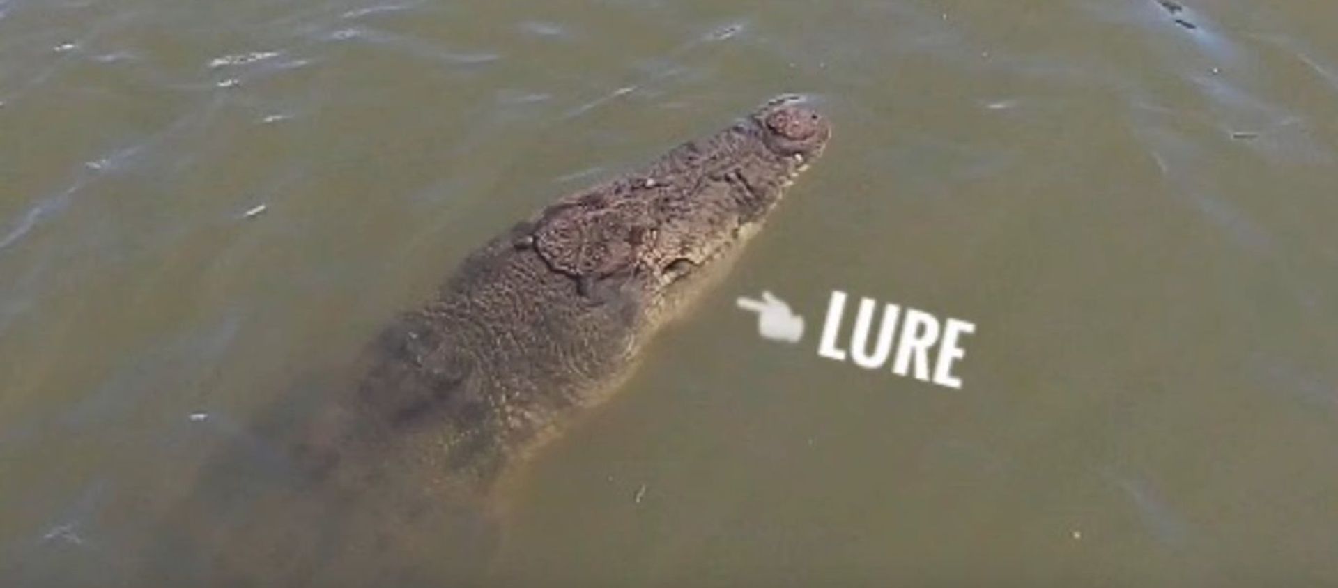 Fisherman Hooks Huge Crocodile || ViralHog - Sputnik International, 1920, 05.04.2021