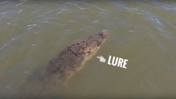 Fisherman Hooks Huge Crocodile || ViralHog - Sputnik International