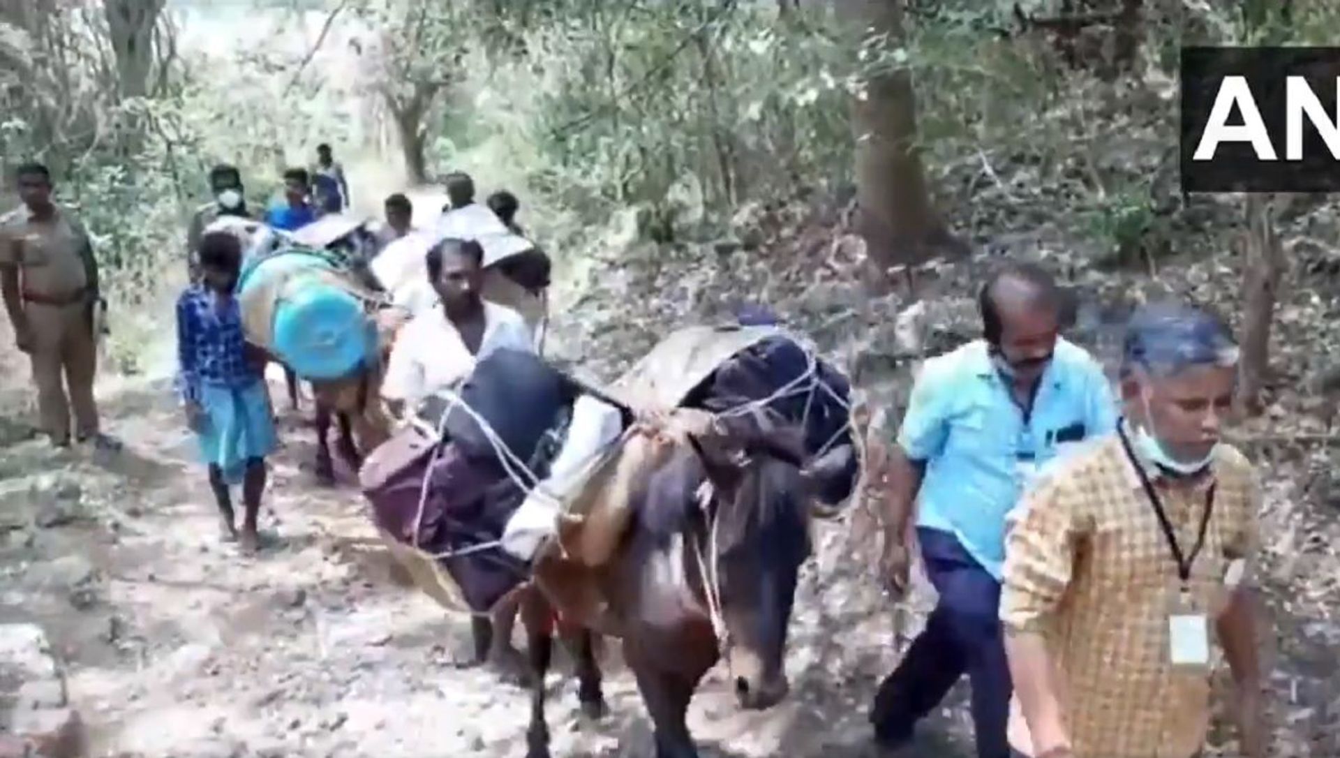 How do you like that, Elon Musk? Donkeys carry EVMs to villages in the Natham area of Dindigul district in Tamil Nadu, ahead of assembly elections tomorrow. How do you like that, Elon Musk? Donkeys carry EVMs to villages in the Natham area of Dindigul district in Tamil Nadu, ahead of assembly elections tomorrow. - Sputnik International, 1920, 06.04.2021