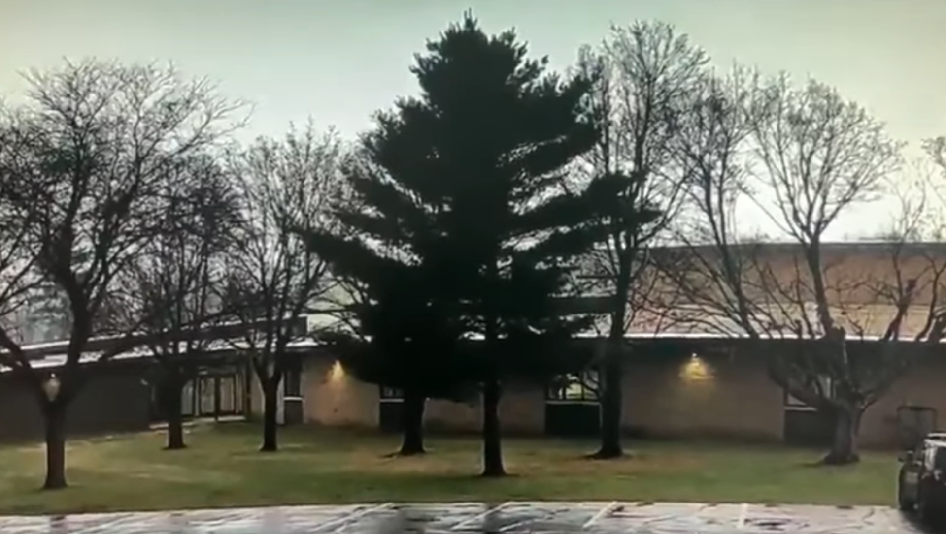 Video: Thrilling Lightning Burnes Tree to the Ground in Wisconsin Video: Thrilling Lightning Burnes Tree to the Ground in Wisconsin - Sputnik International, 1920, 10.04.2021