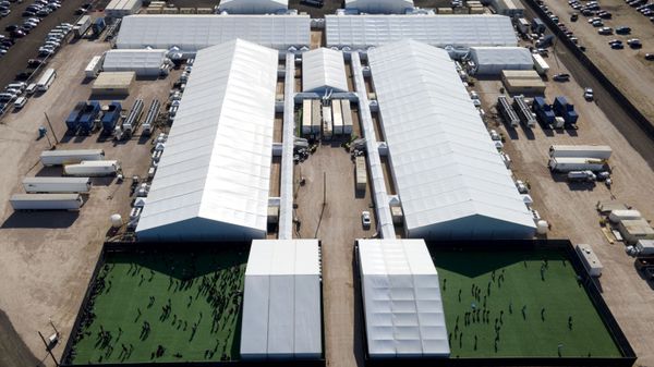 In this Friday, March 19, 2021, photo migrants are seen in a green area outside of a soft-sided detention center after they were taken into custody while trying to sneak into the U.S., in Donna, Texas. - Sputnik International