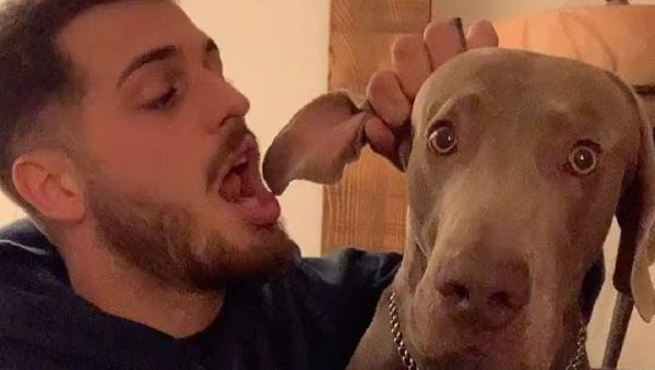Dog - Sputnik International