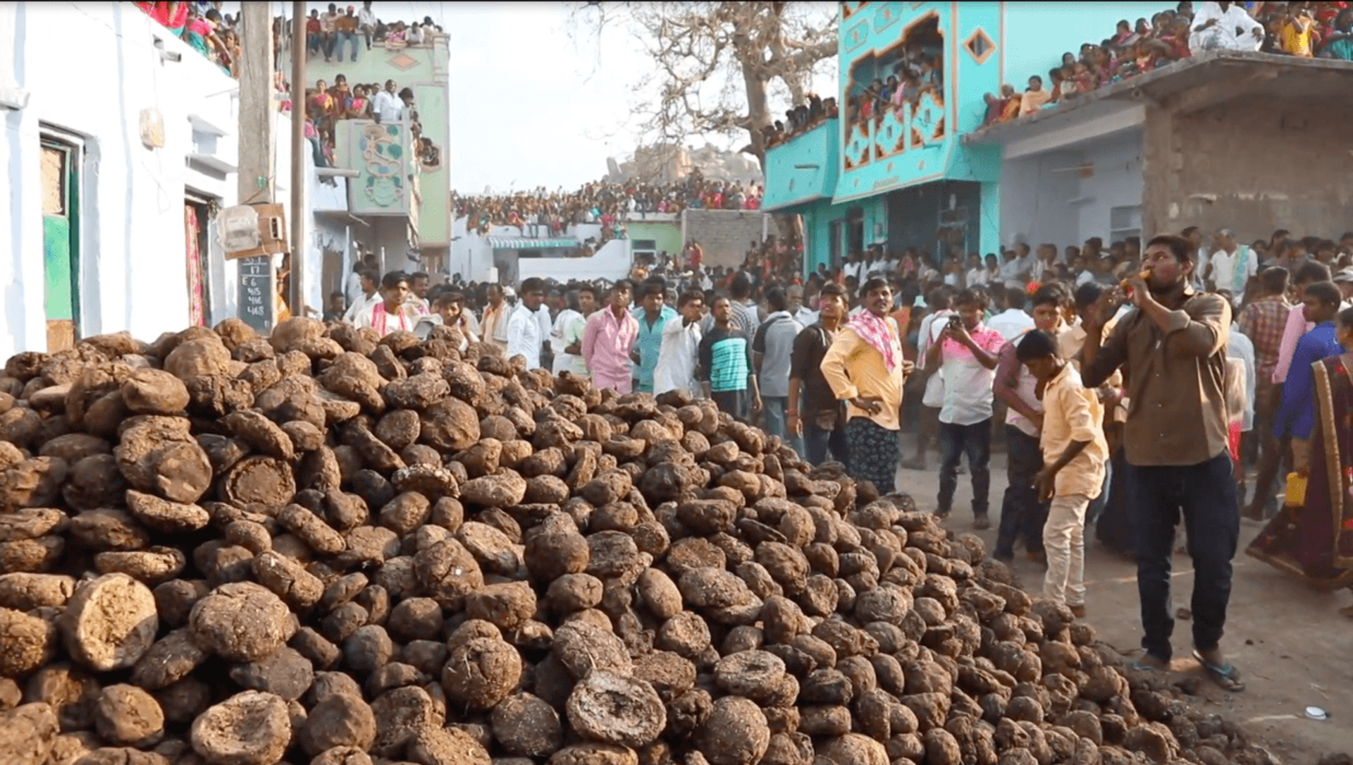 Cow poop flies as Indian villagers throw dung at each other… Cow poop flies as Indian villagers throw dung at each other… - Sputnik International, 1920, 15.04.2021