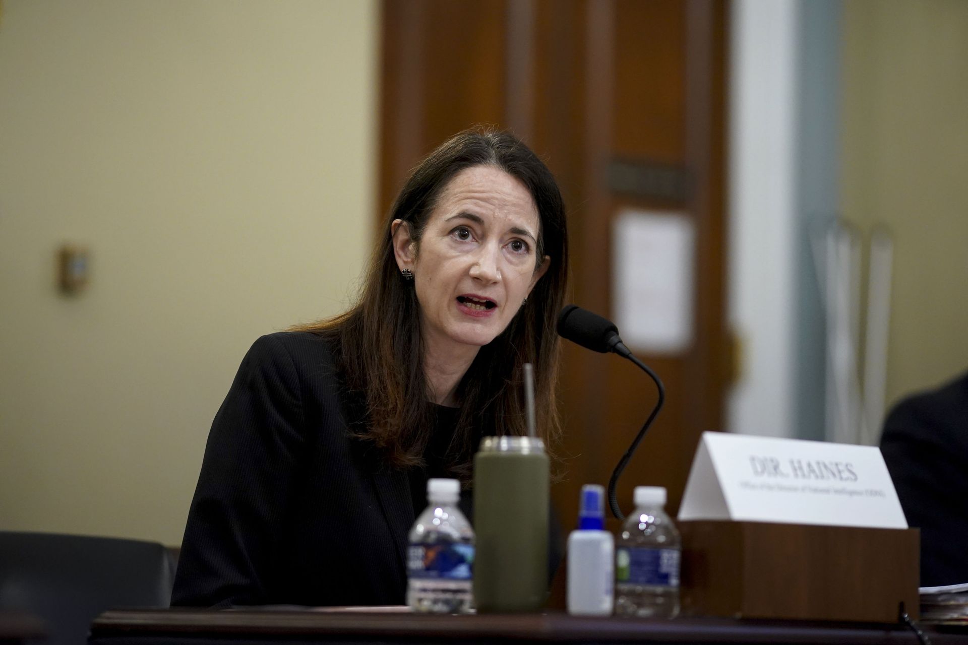 Director Avril Haines of the Office of the Director of National Intelligence (ODNI) testifies during a House Intelligence Committee hearing on Capitol Hill in Washington, Thursday, April 15, 2021 - Sputnik International, 1920, 20.07.2022