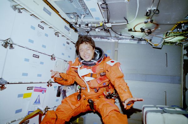 The Real Miss Universe: First Female Astronauts in Space From All Over the World The Real Miss Universe: First Female Astronauts in Space From All Over the World - Sputnik International
