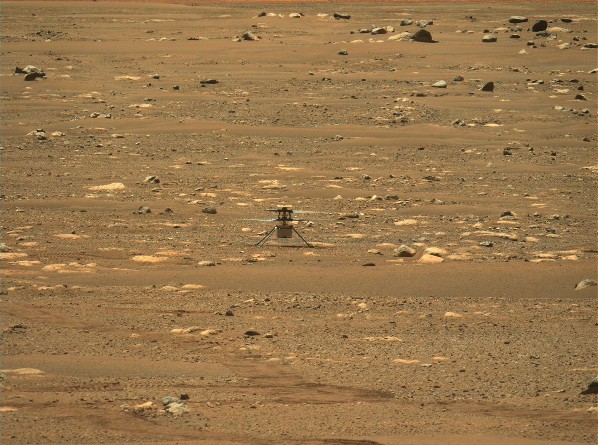 Is Alien Life Thriving Under Martian Surface? Is Alien Life Thriving Under Martian Surface? - Sputnik International, 1920, 25.04.2021