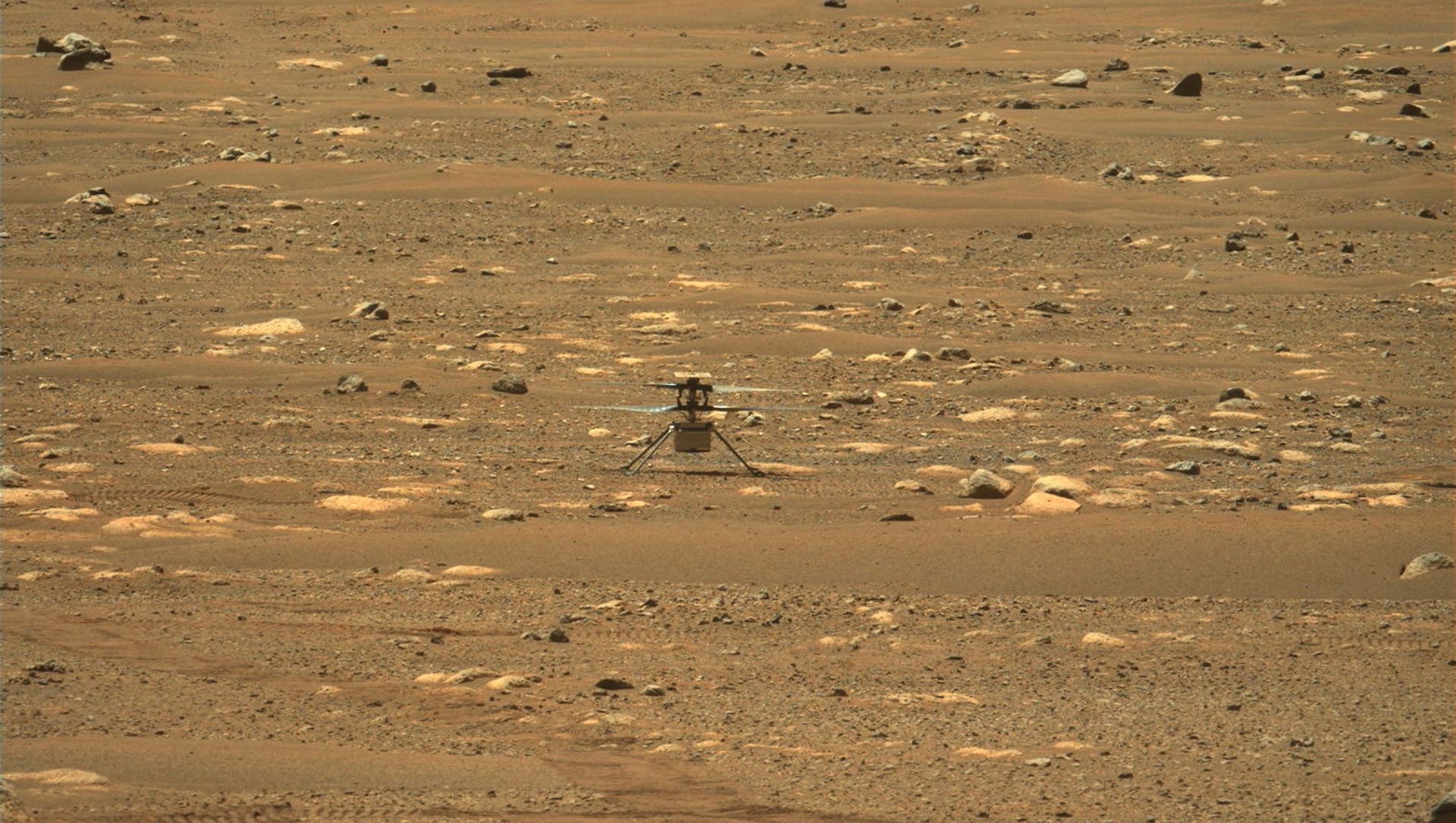 NASA's Mars helicopter Ingenuity makes its first flight NASA's Mars helicopter Ingenuity makes its first flight - Sputnik International, 1920, 19.04.2021