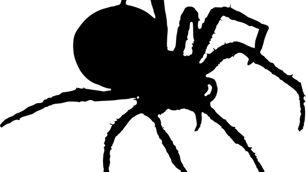 Spider silhouette - Sputnik International