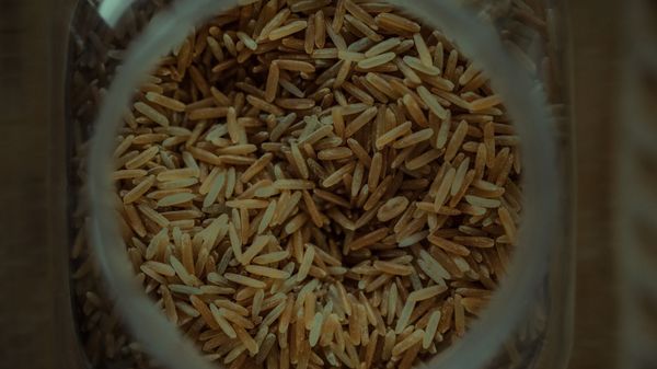Rice Rice - Sputnik International