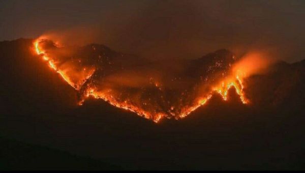 The forest in Mizoram, has been on wildfire for more than 24 hrs, spreading to this hour and on the verge of reaching the 2nd biggest settlement area, Lunglei town - Sputnik International