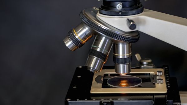 Microscope  - Sputnik International