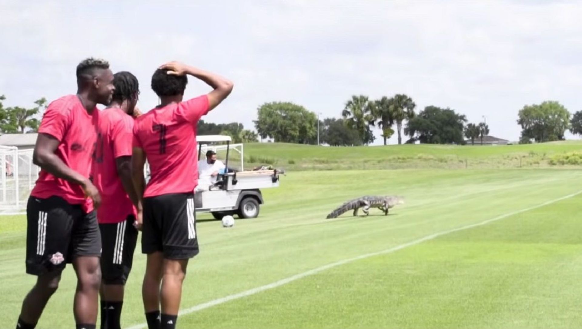 Gator Country | All For One: Moment presented by Bell Gator Country | All For One: Moment presented by Bell - Sputnik International, 1920, 29.04.2021