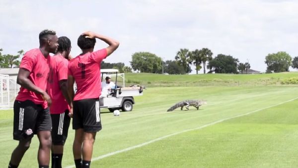 Gator Country | All For One: Moment presented by Bell - Sputnik International