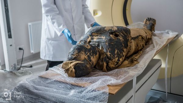 Warsaw Mummy Project - Sputnik International