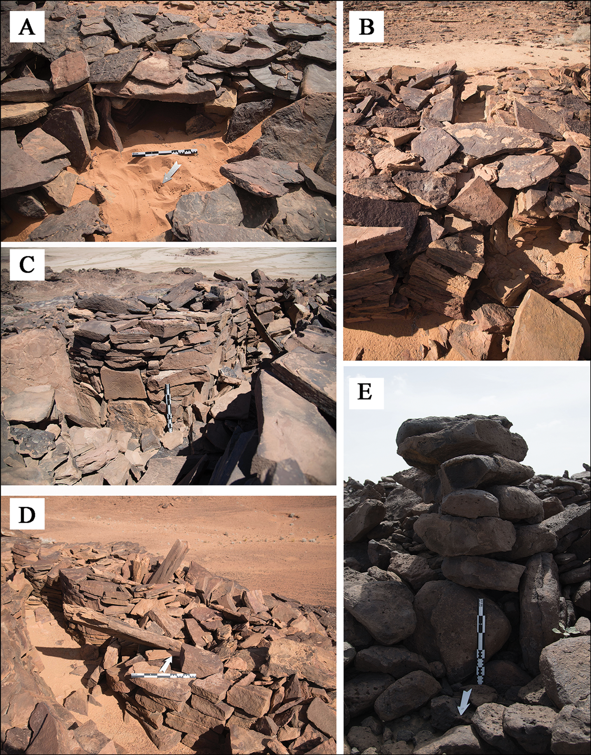 7,000-Year-Old Structures in Saudi Desert Show 'Earliest Evidence for Cattle Cult', Scientists Say 7,000-Year-Old Structures in Saudi Desert Show 'Earliest Evidence for Cattle Cult', Scientists Say - Sputnik International, 1920, 01.05.2021