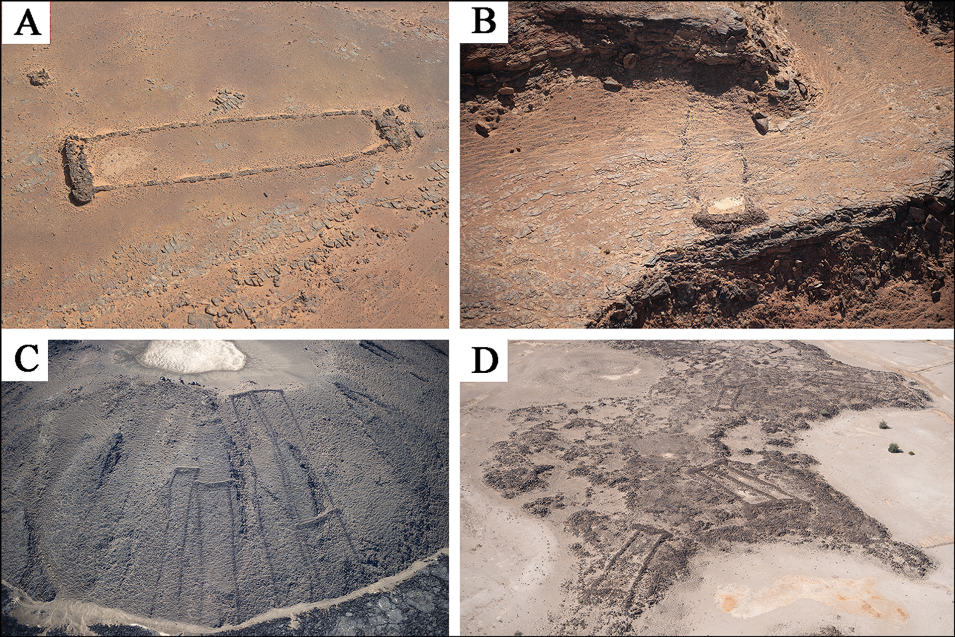 7,000-Year-Old Structures in Saudi Desert Show 'Earliest Evidence for Cattle Cult', Scientists Say 7,000-Year-Old Structures in Saudi Desert Show 'Earliest Evidence for Cattle Cult', Scientists Say - Sputnik International, 1920, 01.05.2021