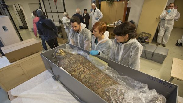 Mummy-to-be: Scans Reveal Preserved Egyptian Woman in Warsaw Museum Was Pregnant  - Sputnik International
