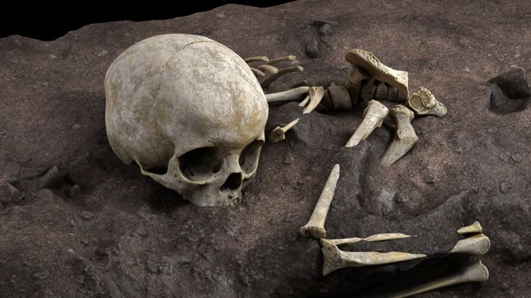 This handout computer-generated image released on May 4, 2021 by the CNRS-University of Bordeaux, shows the remains of a 3-year-old child named by the scientists Mtoto (meaning 'child' in Swahili) and buried inside a deliberately dug pit, were discovered by archaelogists. - The discovery of the oldest burial site in Africa, dated at 78,000 years old, has just been revealed in the journal Nature by an international team including several researchers from the CNRS - Sputnik International