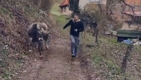 farmer and cow - Sputnik International