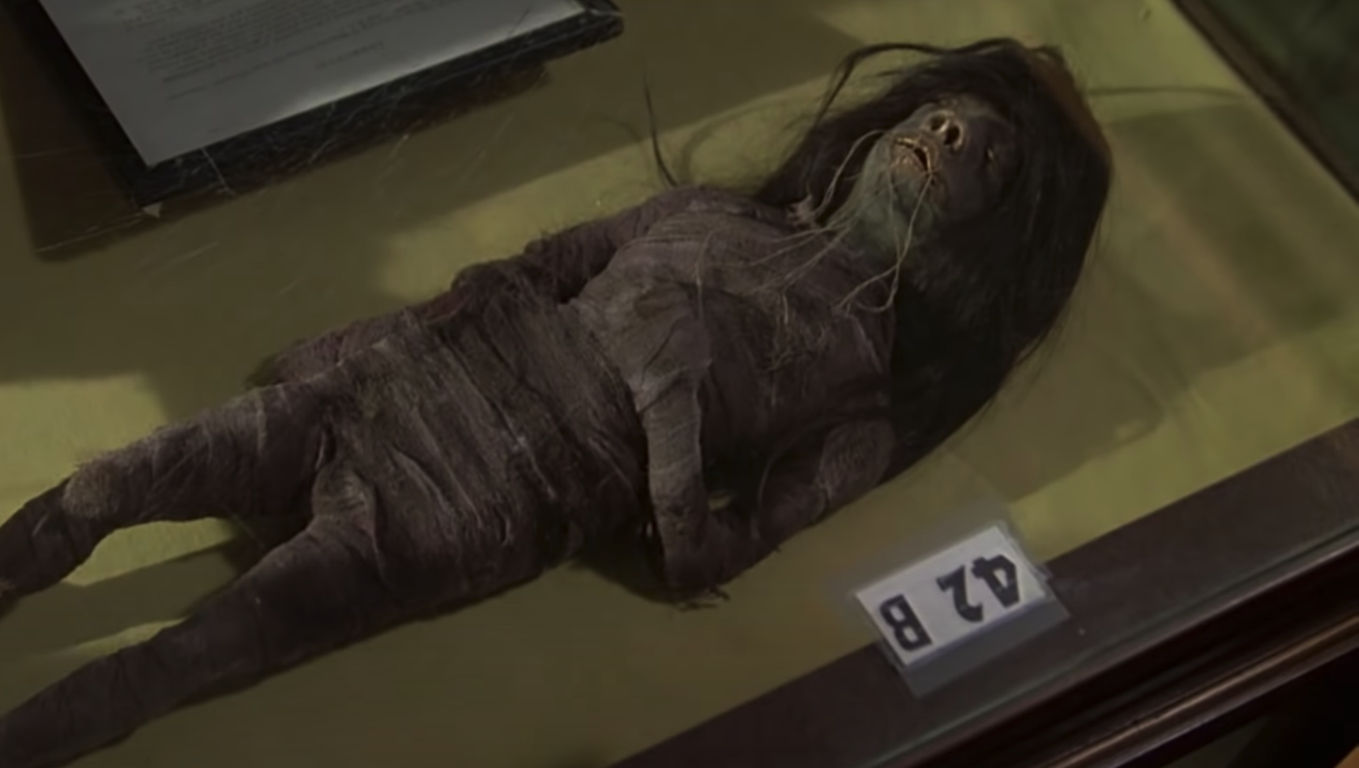Screenshot captures the tsantsa that was featured in John Houston’s 1979 movie “Wise Blood.” The item was recently confirmed as having been made of human remains. Screenshot captures the tsantsa that was featured in John Houston’s 1979 movie “Wise Blood.” The item was recently confirmed as having been made of human remains. - Sputnik International, 1920, 12.05.2021