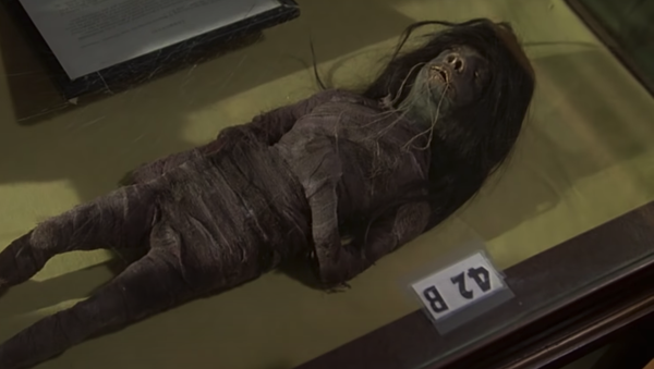 Screenshot captures the tsantsa that was featured in John Houston’s 1979 movie “Wise Blood.” The item was recently confirmed as having been made of human remains. - Sputnik International