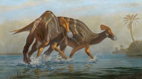 An illustration of the Mexico's National Institute of Anthropology and History (INAH) represents a new species of a dinosaur named Tlatolophus galorum after palaeontologists found its 72 million-year-old fossilised remains almost a decade ago, in General Cepeda, Coahuila, Mexico in this undated illustration obtained by Reuters on May 13, 2021. - Sputnik International