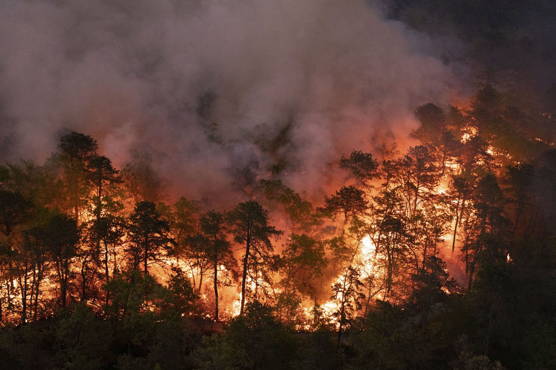 Video: New Jersey Wildfire Ravages Hundreds of Acres Amid Containment Efforts - Sputnik International, 1920, 17.05.2021
