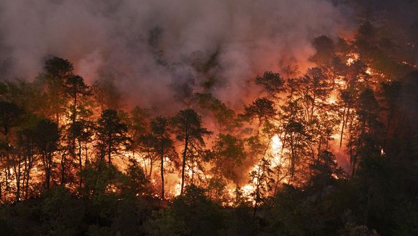 In this photo provided by New Jersey Department of Environmental Protection, a forest fire burns in Little Egg Harbor Township, N.J., on Sunday, May 16, 2021. ( New Jersey Department of Environmental Protection via AP) - Sputnik International