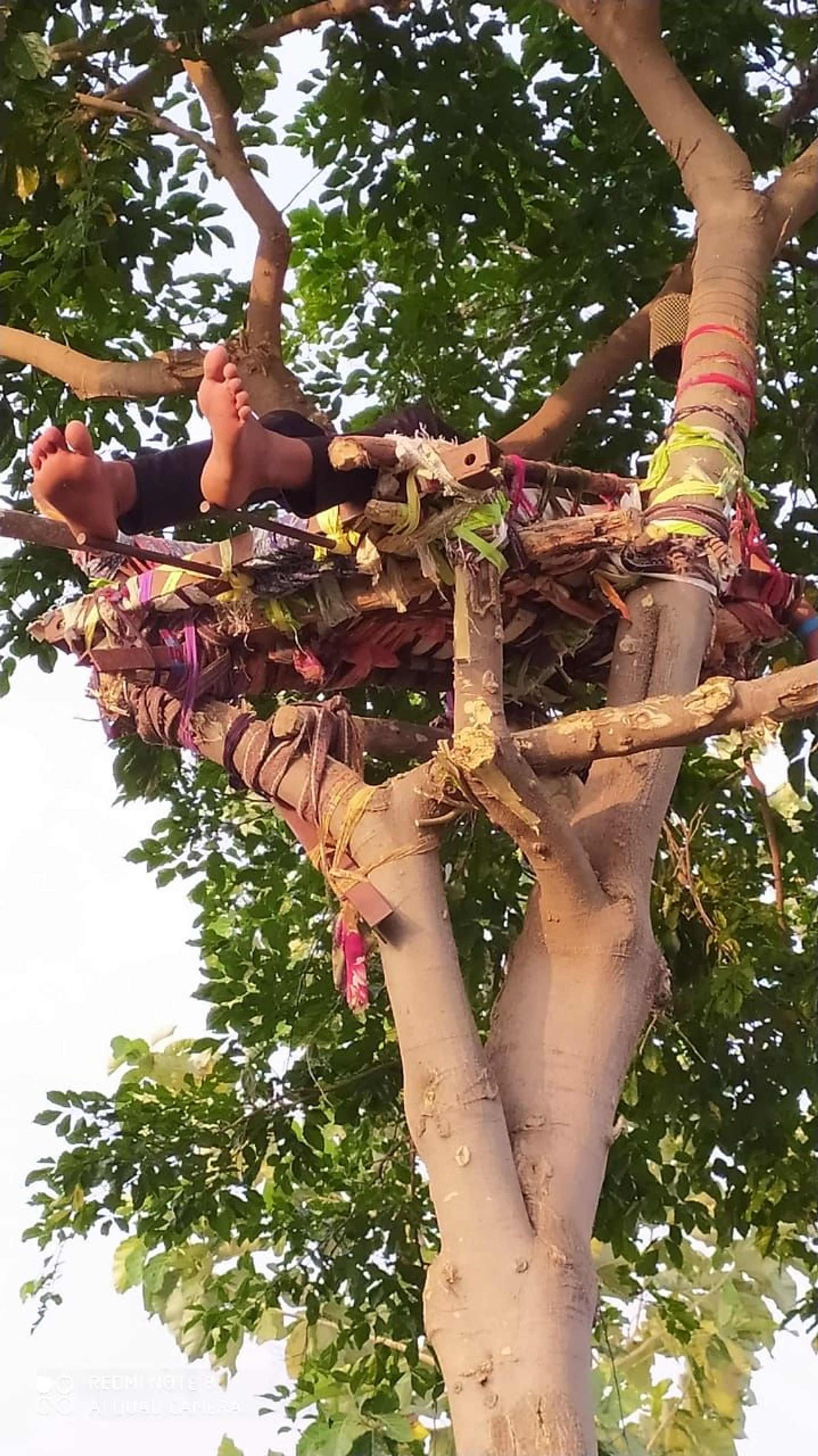 Man Builds Isolation Bed in Tree in Remote Indian Village as COVID Crisis Rages – Images Man Builds Isolation Bed in Tree in Remote Indian Village as COVID Crisis Rages – Images - Sputnik International, 1920, 18.05.2021
