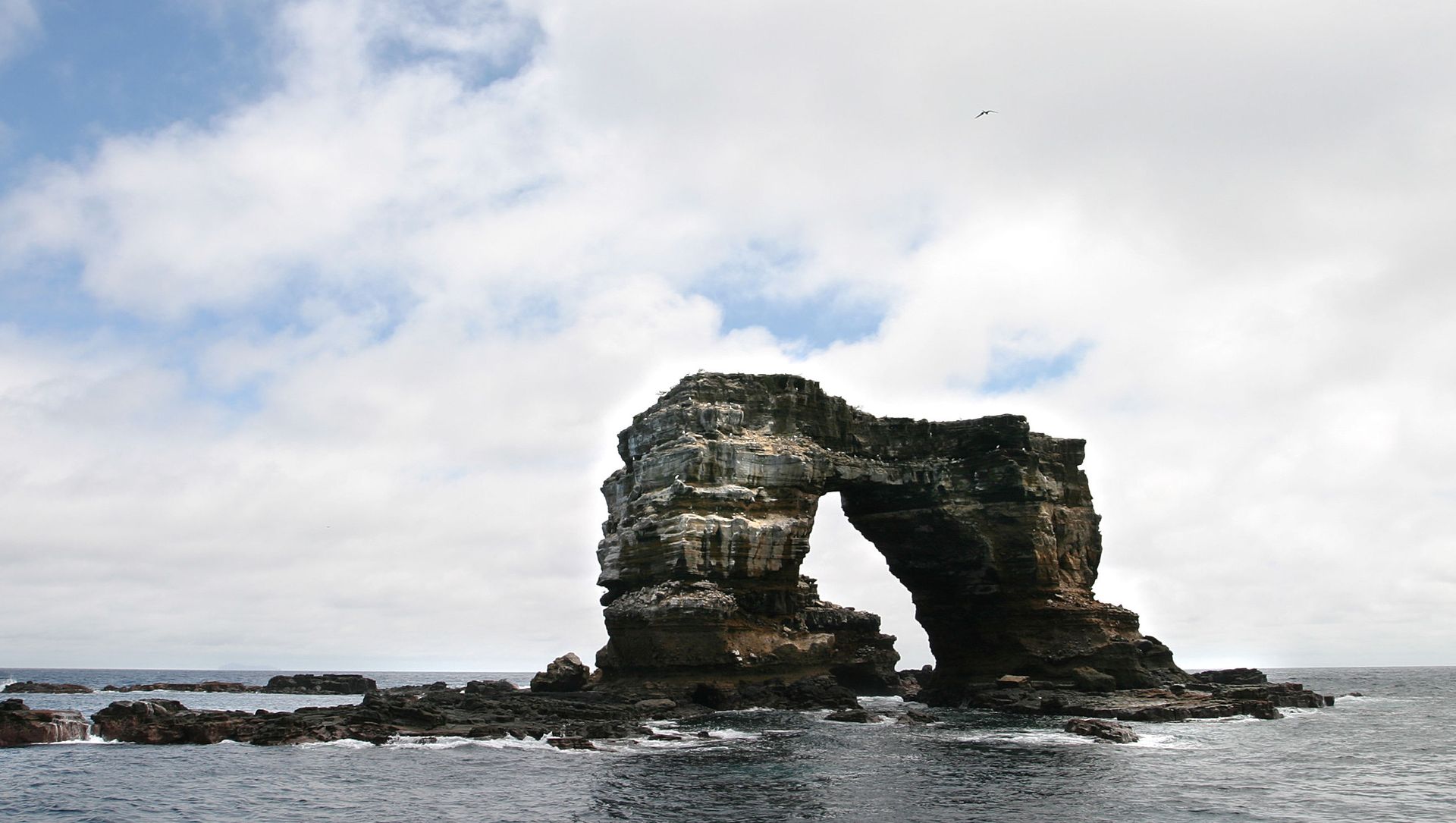 Darwins Arch, Galapagos Darwins Arch, Galapagos - Sputnik International, 1920, 18.05.2021