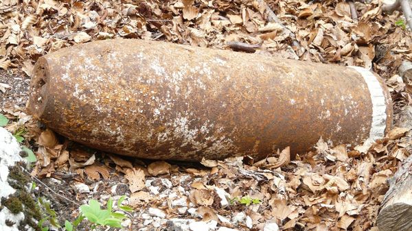 a WWII bomb - Sputnik International
