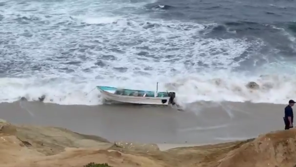 here’s video of the panga... officials have it docked at Children’s Pool - Sputnik International