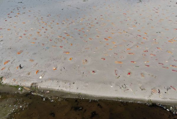 Mass Graves of COVID-19 Victims Along Banks of India's Ganges - Sputnik International
