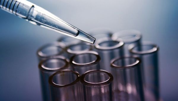 Test tubes Test tubes - Sputnik International