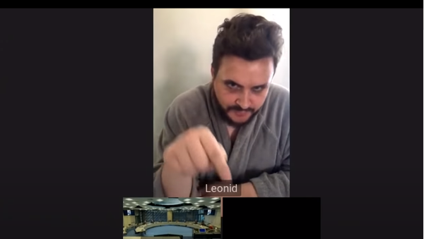 A screenshot from a Youtube video showing Russian pranksters Vovan and Lexus posing as Navalny's ally Leonid Volkov in front of Dutch legislators - Sputnik International