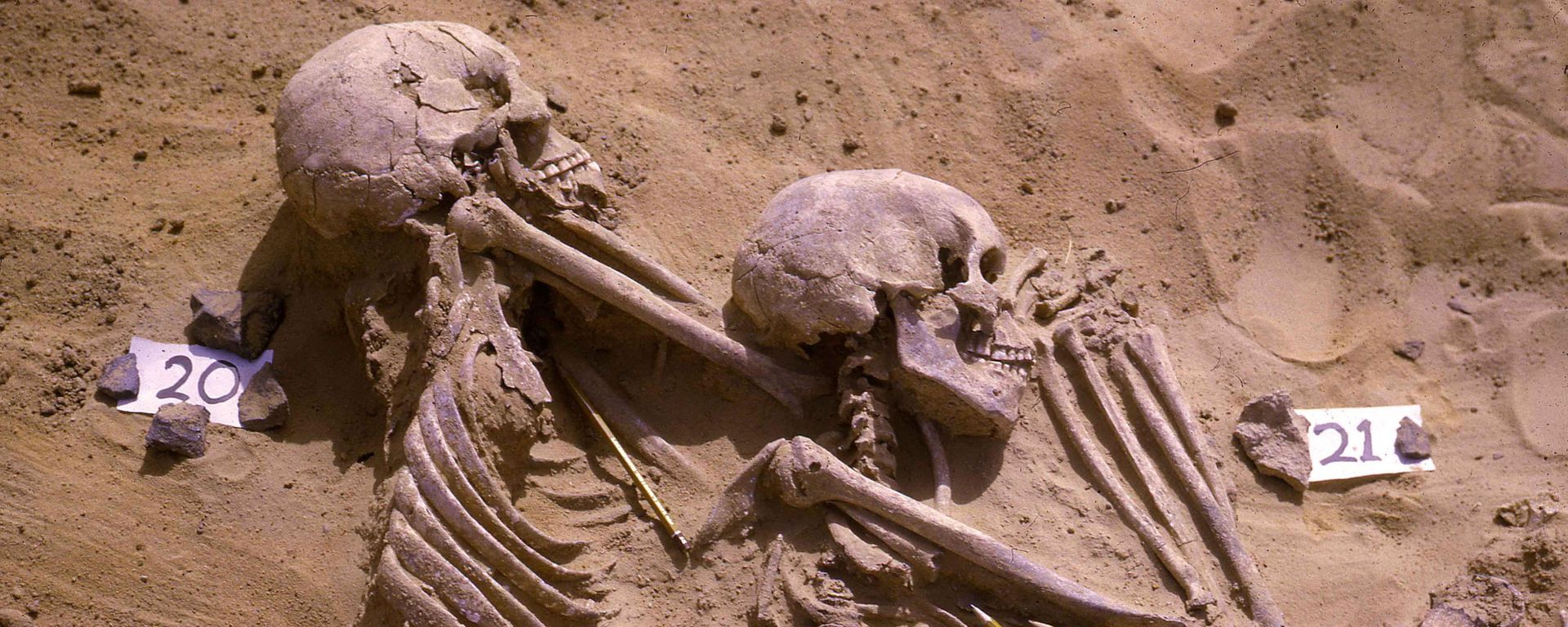 The double burial of individuals identified as JS 20 and JS 21 from among the 13,400-year-old Jebel Sahaba remains from Sudan, some of the earliest evidence of human warfare, with pencils marking the position of associated stone artefacts, is seen in this undated handout photograph. - Sputnik International, 1920, 28.05.2021