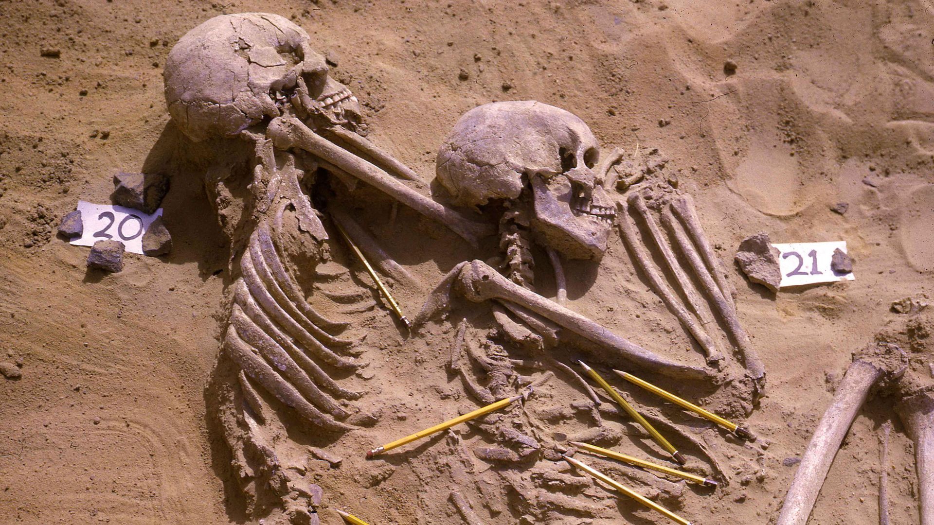 The double burial of individuals identified as JS 20 and JS 21 from among the 13,400-year-old Jebel Sahaba remains from Sudan, some of the earliest evidence of human warfare, with pencils marking the position of associated stone artefacts, is seen in this undated handout photograph. The double burial of individuals identified as JS 20 and JS 21 from among the 13,400-year-old Jebel Sahaba remains from Sudan, some of the earliest evidence of human warfare, with pencils marking the position of associated stone artefacts, is seen in this undated handout photograph. - Sputnik International, 1920, 28.05.2021