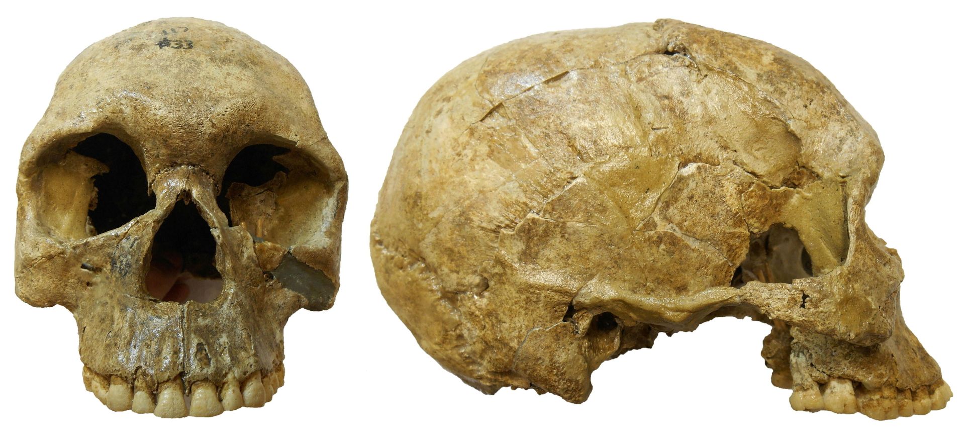 Earliest Known War Turns Out to Be Series of Conflicts 13,400 Years Ago, Scientists Say Earliest Known War Turns Out to Be Series of Conflicts 13,400 Years Ago, Scientists Say - Sputnik International, 1920, 28.05.2021
