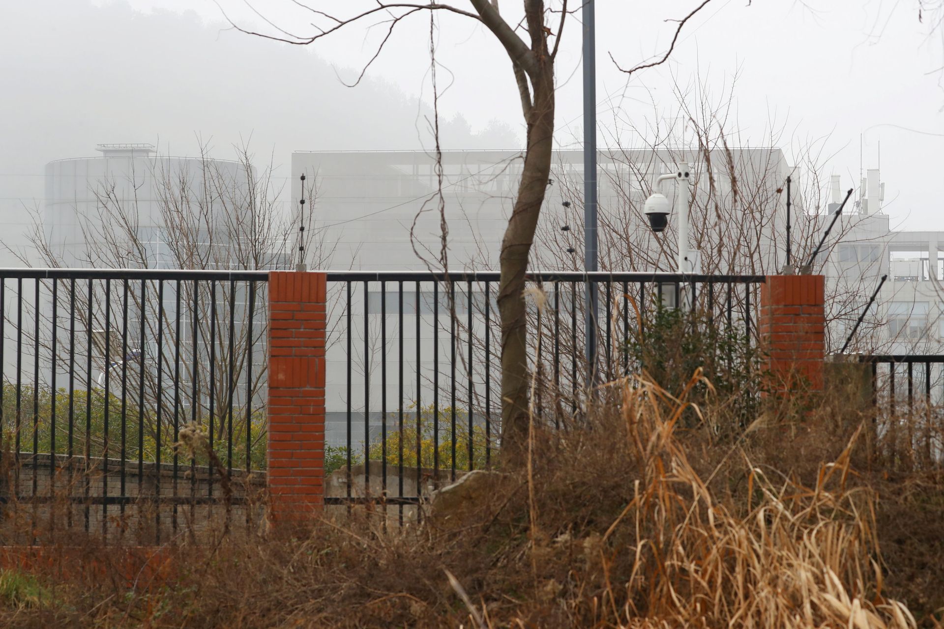 ‘Playing Political Games to Hijack Science’: China Slams Biden Probe Into ‘Wuhan COVID Leak’ Theory - Sputnik International, 1920, 01.06.2021