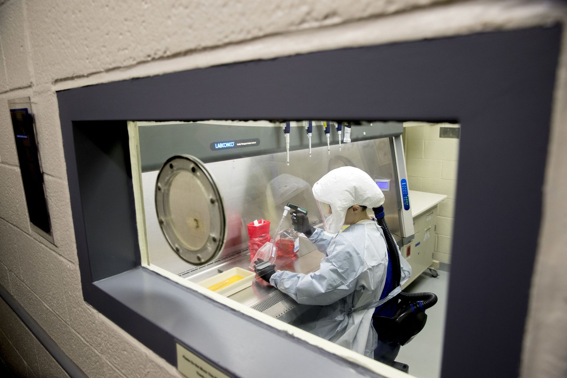 FILE - In this March 19, 2020, file photo laboratory scientist Andrea Luquette cultures coronavirus to prepare for testing at U.S. Army Medical Research and Development Command at Fort Detrick in Frederick, Md., where scientists are working to help develop solutions to prevent, detect and treat the coronavirus - Sputnik International, 1920, 07.09.2021