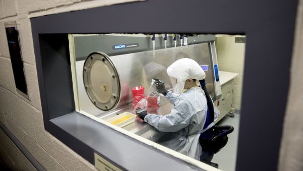 FILE - In this March 19, 2020, file photo laboratory scientist Andrea Luquette cultures coronavirus to prepare for testing at U.S. Army Medical Research and Development Command at Fort Detrick in Frederick, Md., where scientists are working to help develop solutions to prevent, detect and treat the coronavirus - Sputnik International