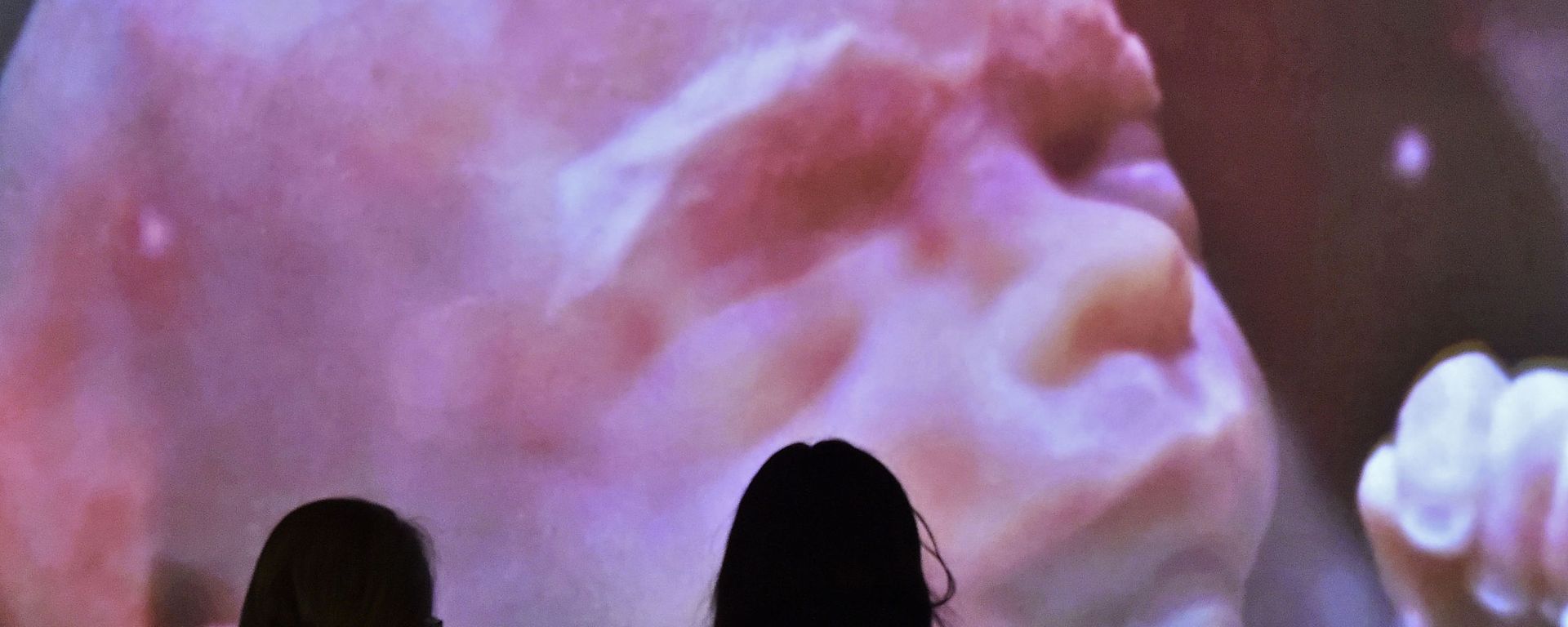 Two women watching a video installation showing a human embryo at the new exhibition wonders of nature at the Gasometer in Oberhausen, Germany, Saturday, March 12, 2016 - Sputnik International, 1920, 13.07.2021