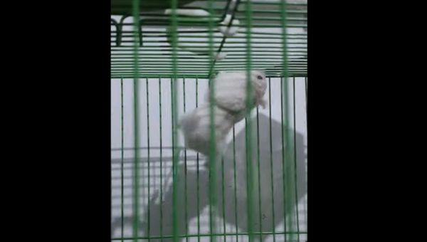 xHamster - Sputnik International