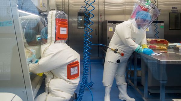 Workers are seen next to a cage with mice (R) inside the P4 laboratory in Wuhan, capital of China's Hubei province, on February 23, 2017 - Sputnik International