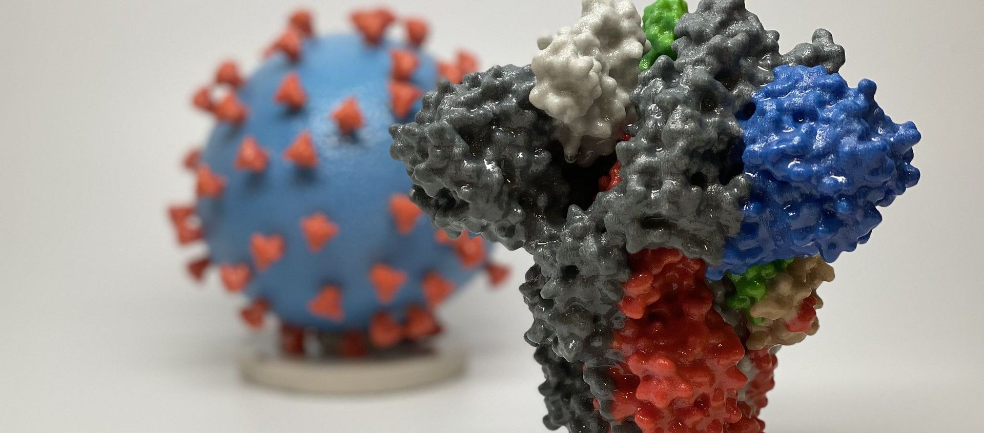 Novel Coronavirus SARS-CoV-2 Spike Protein Novel Coronavirus SARS-CoV-2 Spike Protein - Sputnik International, 1920, 07.06.2021